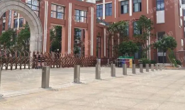 学校麻豆高清无码是否有必要